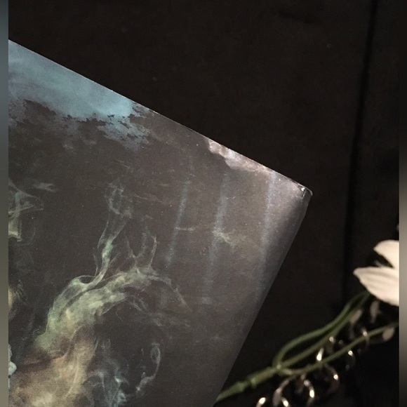 Lady Midnight - Stamp Signed Indigo Exclusive Edition - By Cassandra Clare - Hc - Picture 11 of 16